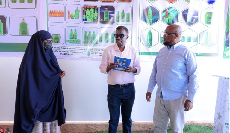 The Director General of the Horncenter Dialogue Research Organization, Ambassador Dr. Ahmed Abdi Salan Haji Aden, accompanied by members of parliament,